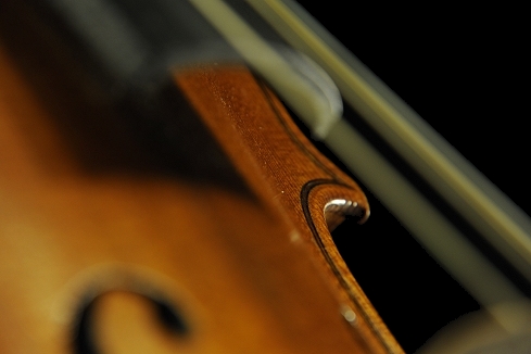 �J���� �r�W���b�L �o�C�I����