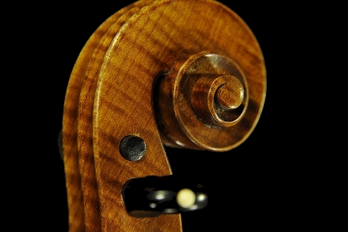 �o�C�I���� �r�W���b�L �C�^���A