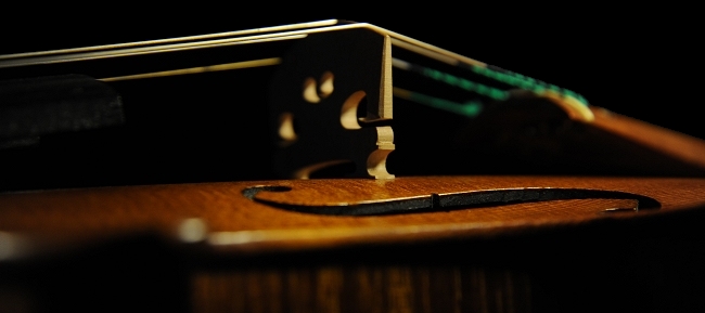 �o�C�I���� �r�W���b�L �C�^���A