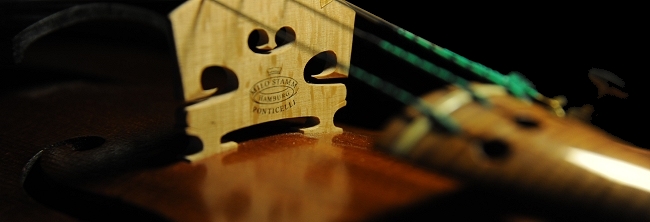 �o�C�I���� �r�W���b�L �C�^���A