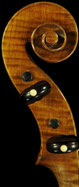 �o�C�I���� �r�W���b�L �C�^���A