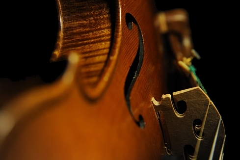 �o�C�I���� �r�W���b�L �C�^���A