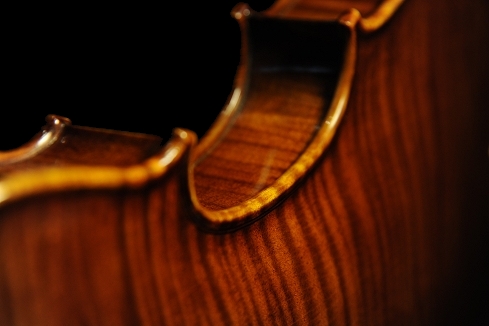 �X�e�t�@�m�R�j�A �C�^���A �N�����i�̋��� 