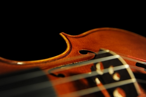 �o�C�I���� �R�j�A �N�����i �C�^���A