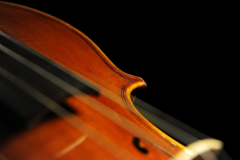 �X�e�t�@�m�R�j�A �C�^���A �N�����i�̋��� 