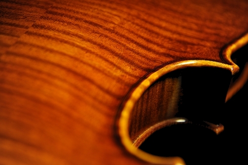 �o�C�I���� �R�j�A �N�����i �C�^���A