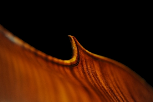 �X�e�t�@�m�R�j�A �C�^���A �N�����i�̋��� 