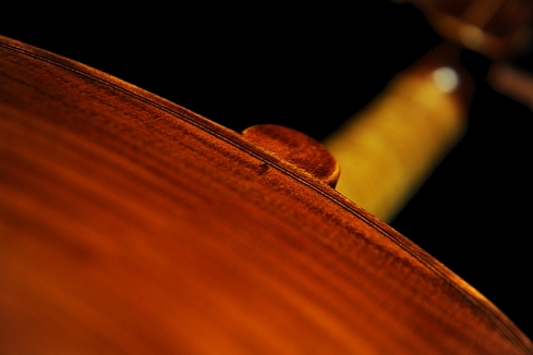 �X�e�t�@�m�R�j�A �C�^���A �N�����i�̋��� 