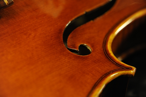 �o�C�I���� �R�j�A �N�����i �C�^���A