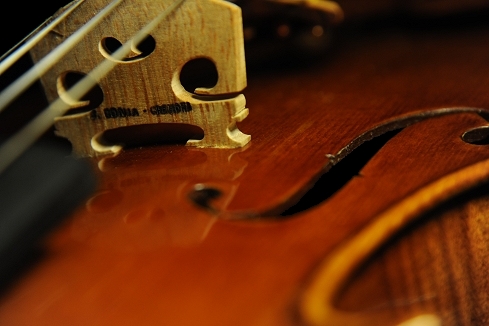 �X�e�t�@�m�R�j�A �C�^���A �N�����i�̋��� 