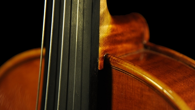 �o�C�I���� �R�j�A �N�����i �C�^���A