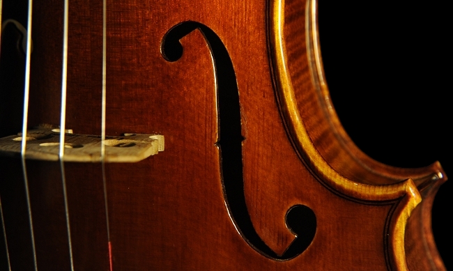 �X�e�t�@�m�R�j�A �C�^���A �N�����i�̋��� 