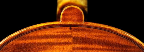 �X�e�t�@�m�R�j�A �C�^���A �N�����i�̋��� 