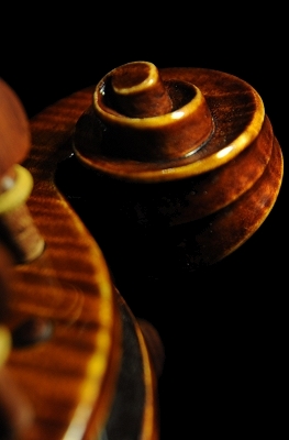 �o�C�I���� �R�j�A �N�����i �C�^���A