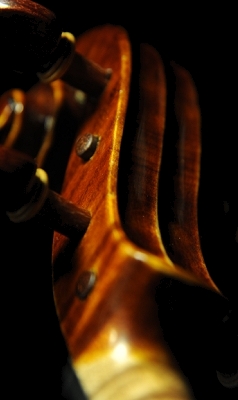 �X�e�t�@�m�R�j�A �C�^���A �N�����i�̋��� 