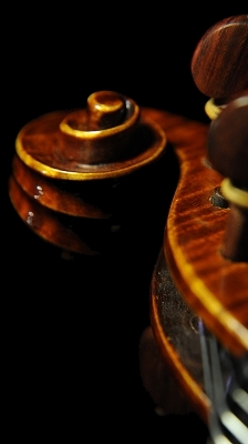 �o�C�I���� �R�j�A �N�����i �C�^���A