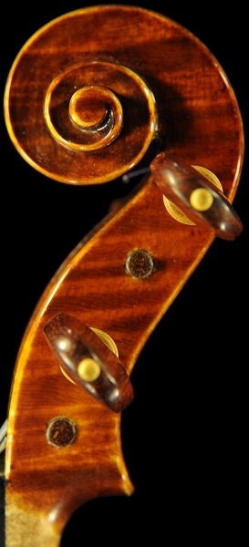 �X�e�t�@�m�R�j�A �C�^���A �N�����i�̋��� 