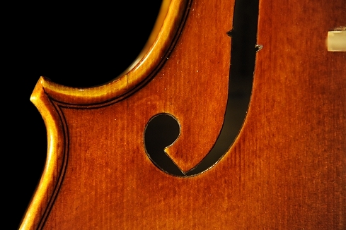 �o�C�I���� �R�j�A �N�����i �C�^���A