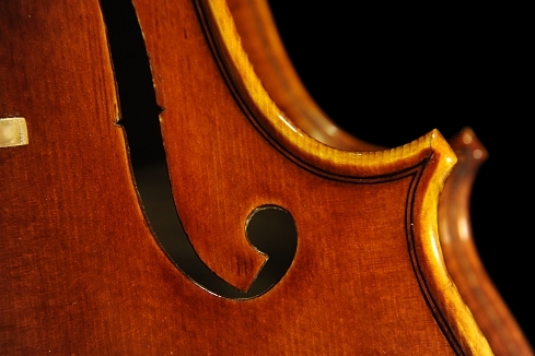 �X�e�t�@�m�R�j�A �C�^���A �N�����i�̋��� 