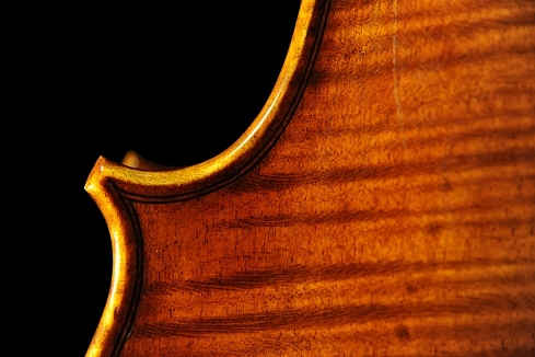 �o�C�I���� �R�j�A �N�����i �C�^���A