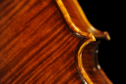 �X�e�t�@�m�R�j�A �C�^���A �N�����i�̋��� 