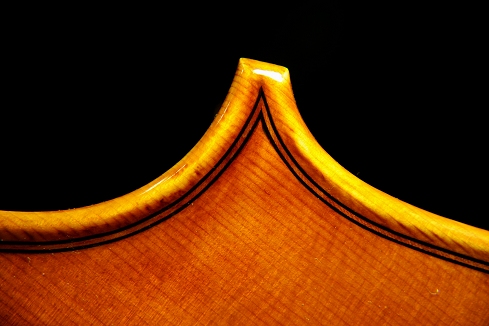 �R�j�A �`�F�� �N�����i �C�^���A