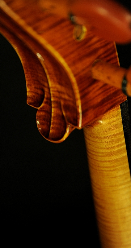 Conia Cello Cremona �`�F�� �C�^���A