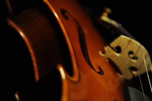 �o�C�I���� �t�����X �C�^���A