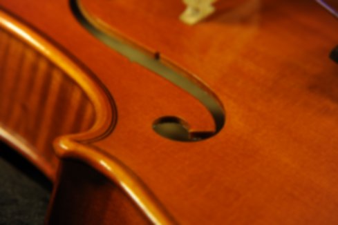 �o�C�I���� �t�����X �C�^���A