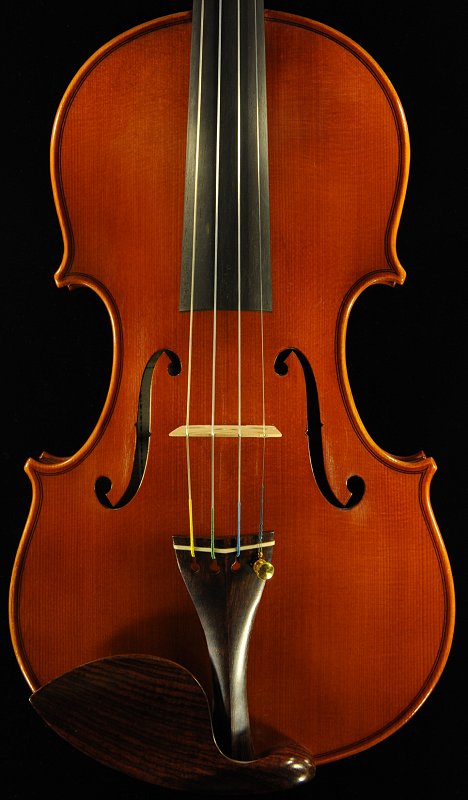 �o�C�I���� �C�^���A �f�B�r�A�b�W�� �H�[