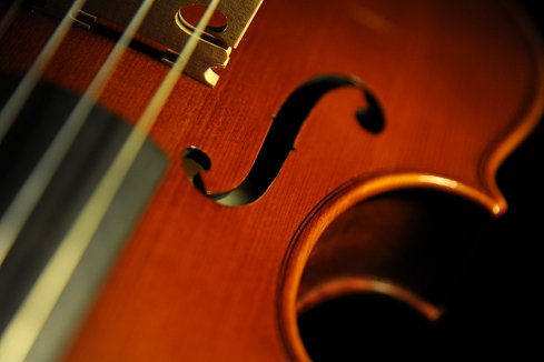 �C�^���A �o�C�I���� �f�B�r�A�b�W��