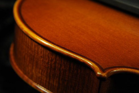 �o�C�I���� �C�^���A �f�B�r�A�b�W�� �H�[