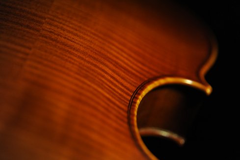 �C�^���A �o�C�I���� �f�B�r�A�b�W��