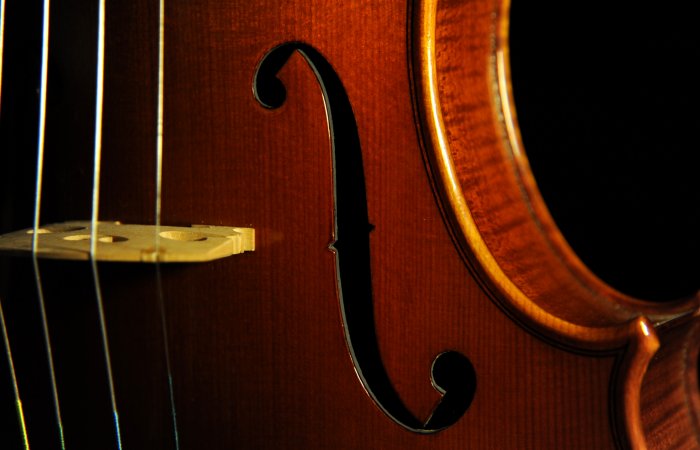 �o�C�I���� �C�^���A �f�B�r�A�b�W�� �H�[