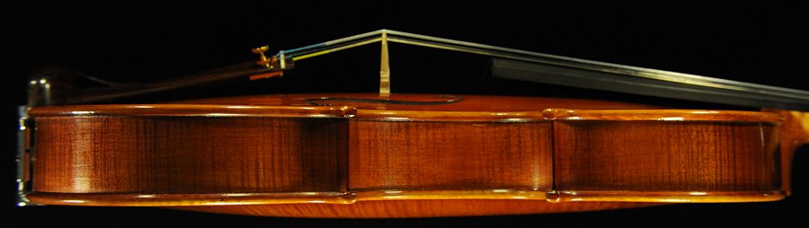 �C�^���A �o�C�I���� �f�B�r�A�b�W��