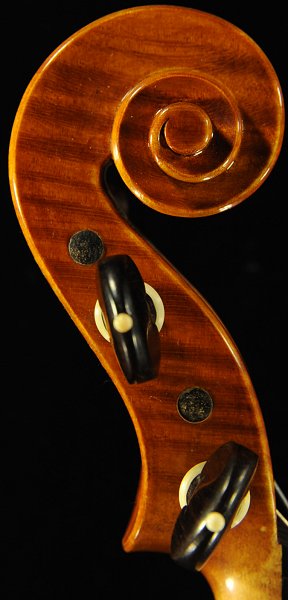 �o�C�I���� �C�^���A �f�B�r�A�b�W�� �H�[