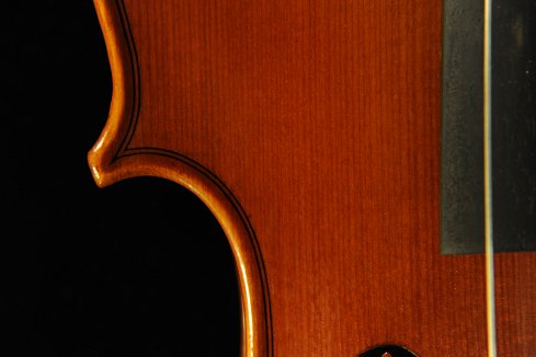 �o�C�I���� �C�^���A �f�B�r�A�b�W�� �H�[