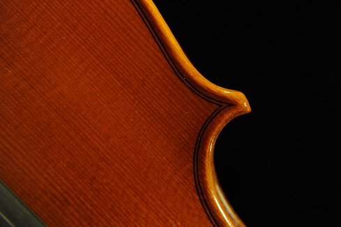 �C�^���A �o�C�I���� �f�B�r�A�b�W��