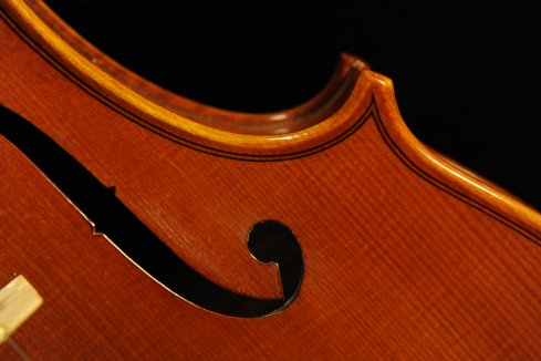 �C�^���A �o�C�I���� �f�B�r�A�b�W��