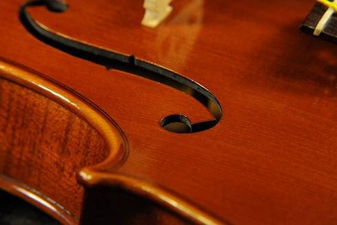 �o�C�I���� �C�^���A �f�B�r�A�b�W�� �H�[