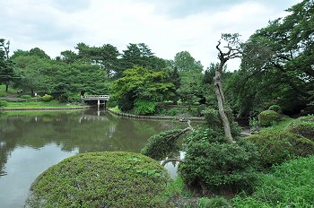新宿御苑 マジコ 毛替をお待ちの間に癒される