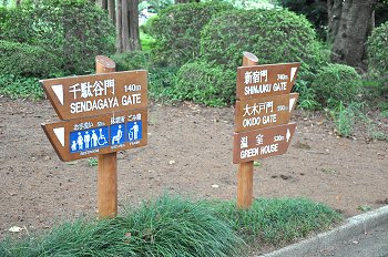 新宿御苑 マジコ 毛替をお待ちの間に癒される