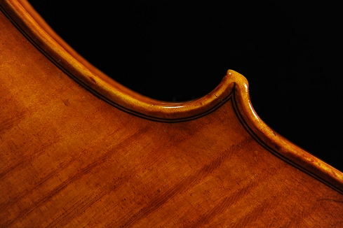 Conia Violin �C�^���A �}�G�X�g��