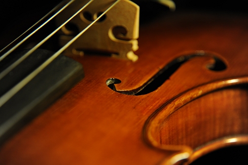 �R�j�A �o�C�I���� �N�����i