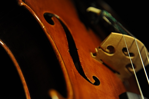 Conia Violin �C�^���A �}�G�X�g��