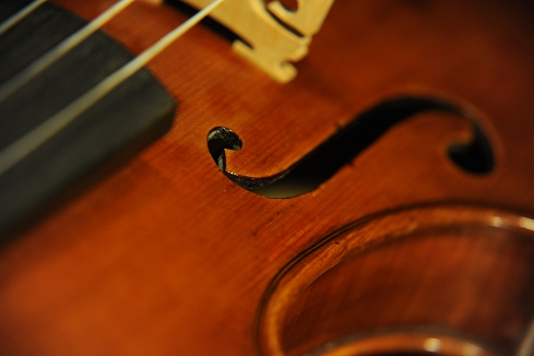 Conia Violin �C�^���A �}�G�X�g��