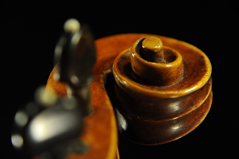 �R�j�A �o�C�I���� �N�����i