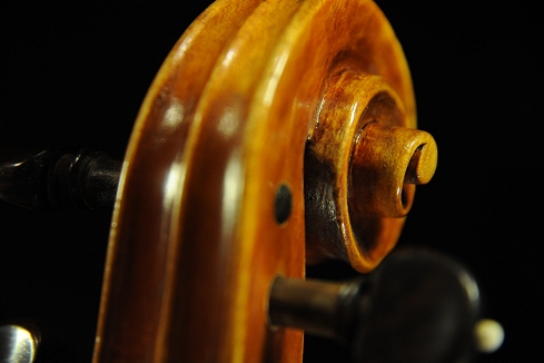 �R�j�A �o�C�I���� �N�����i