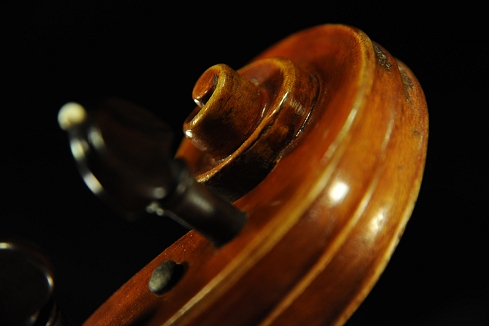 Conia Violin �C�^���A �}�G�X�g��