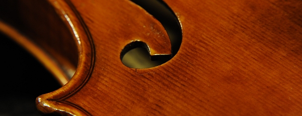 �R�j�A �o�C�I���� �N�����i